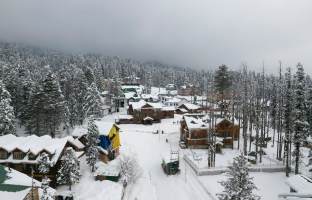 Shimla Special Tour