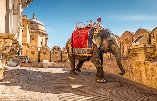 Jaipur City Tour with Private Guide and Car, Pickup from Hotel
