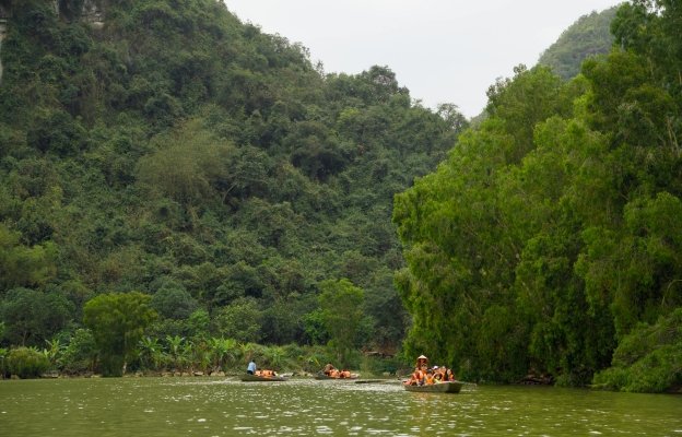 10 Days South India Wildlife, Hills & Nature Tour