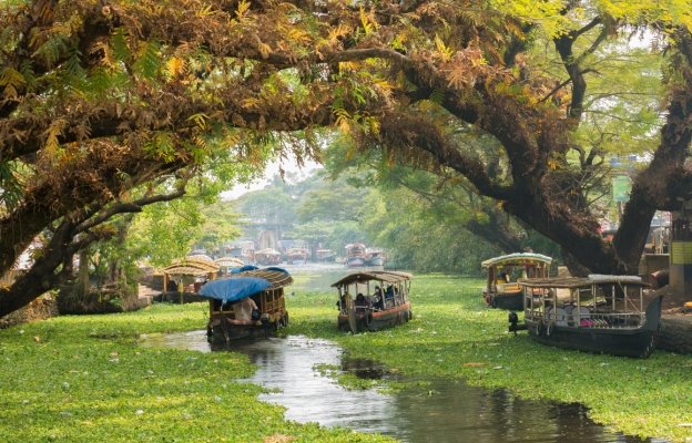 11 Days South India Escapes: Hills, Wildlife & Backwaters