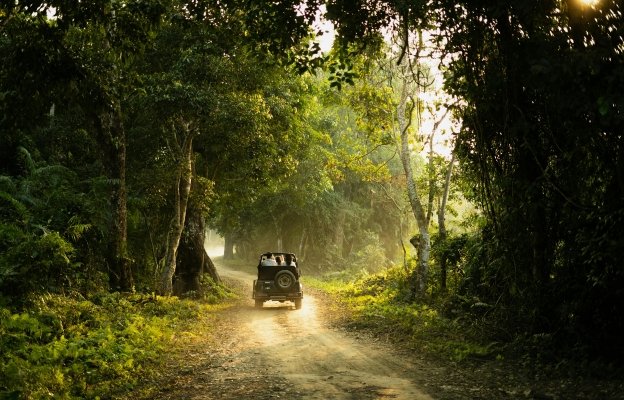 16 Days South India Wildlife & Nature Expedition