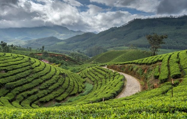 10 Days South India Wildlife, Hills & Nature Tour