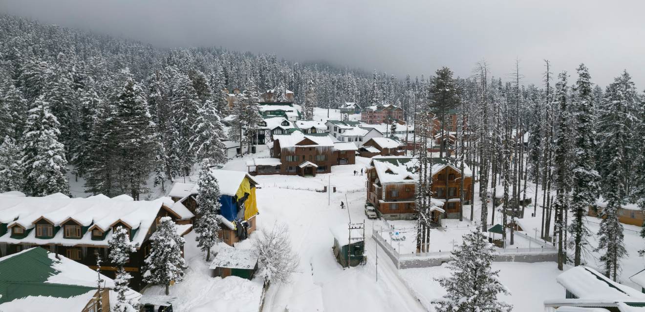 Shimla Special Tour