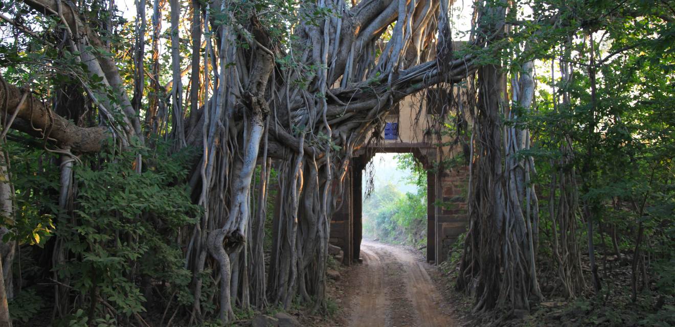 Golden Triangle Tour with Ranthambore